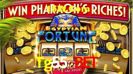 Recursos de Bônus Tg55 Bet