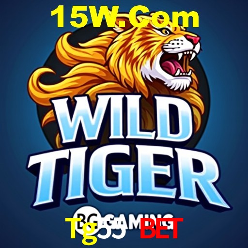 Interface do App Tg55 Bet