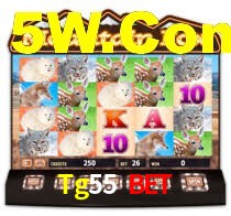 Tg55 Bet